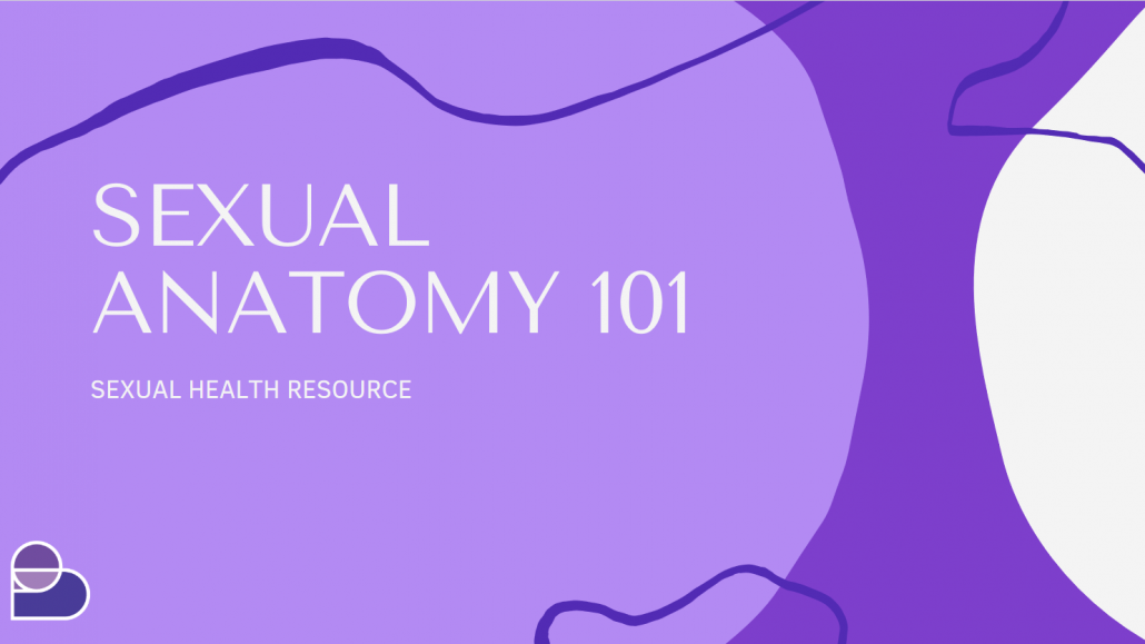 Sexual Anatomy 101
